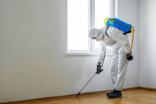 Best Best Pest Control Companies  in Harrington Park, NJ