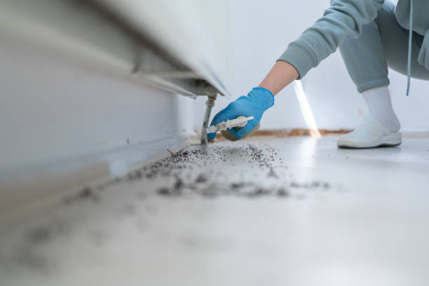 Best Termite Control Services  in Harrington Park, NJ